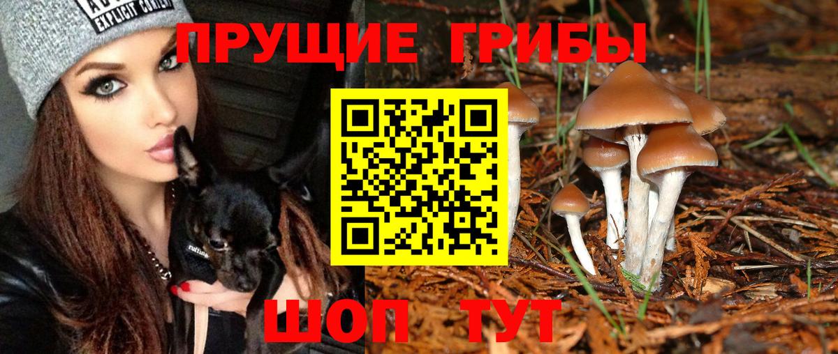 Псилоцибиновые грибы мицелий  цены наркотик  Псилоцибиновые грибы GOLDEN TEACHER  Кропоткин  Вход с VPN 